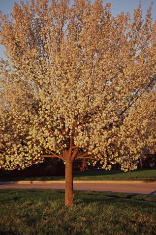 Norristown Farm Park, PA