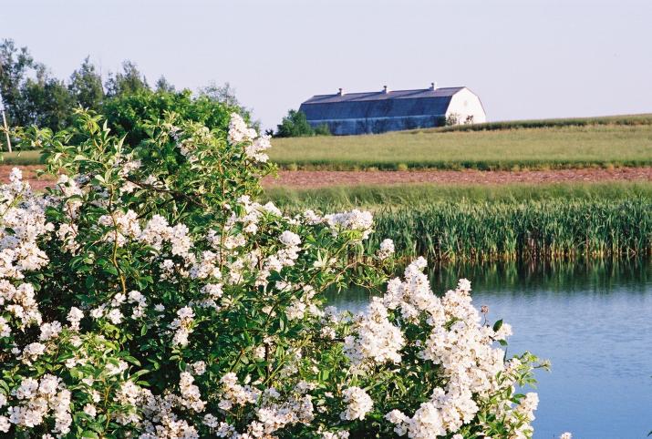 Norristown Farm Park, PA