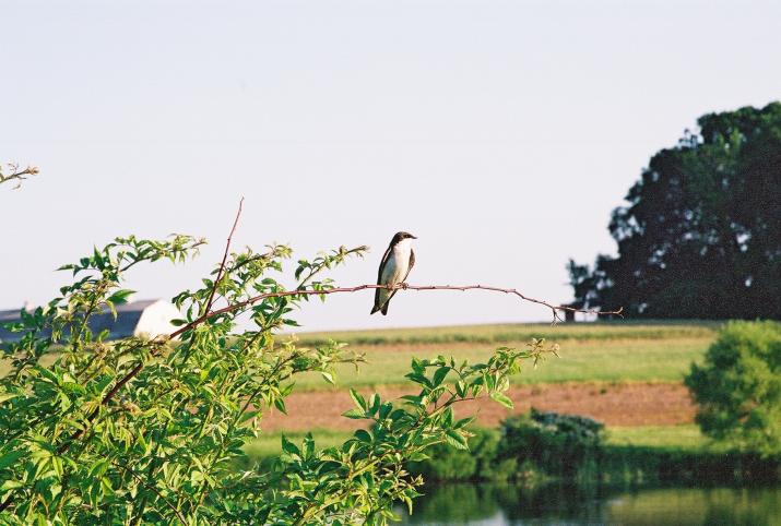 Norristown Farm Park, PA