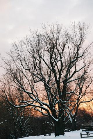 Norristown Farm Park, PA