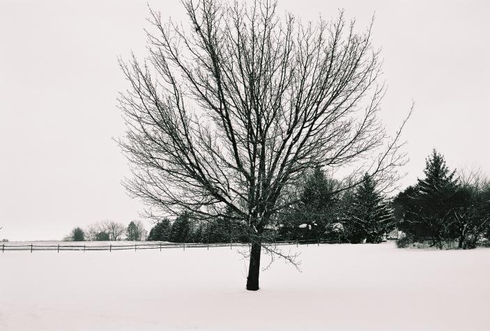 Norristown Farm Park, PA