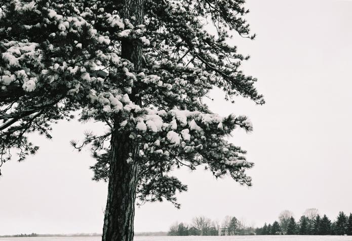 Norristown Farm Park, PA