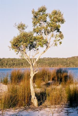 September '03 in Australia - Fraser Island, Australia