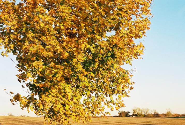 Norristown Farm Park, PA