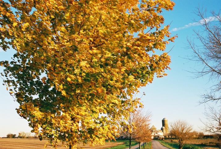 Norristown Farm Park, PA