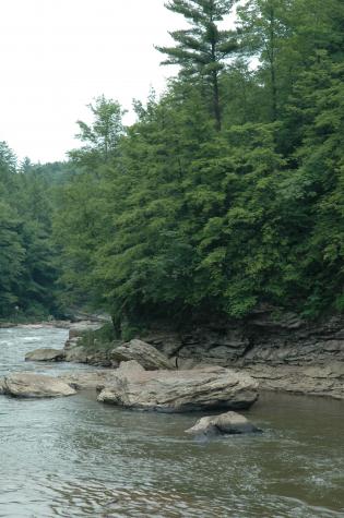 Swallow Falls State Park, MD