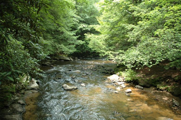 Swallow Falls State Park, MD