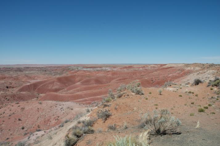 painted desert, nm