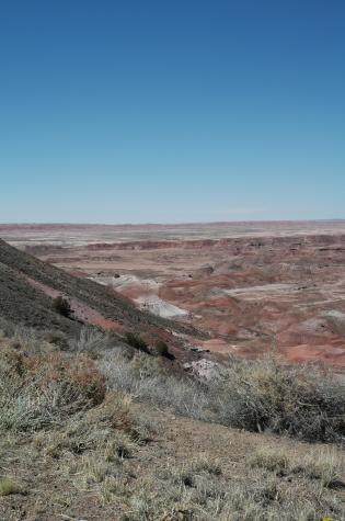 painted desert, nm