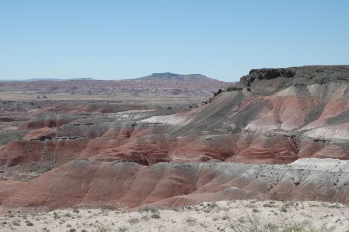 painted desert, nm