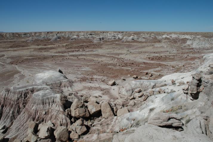 petrified forest, nm