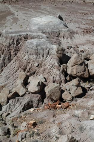 petrified forest, nm