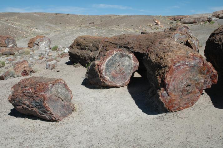 Summer '04 Road Trip - petrified forest, nm