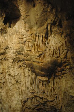 carlsbad caverns, nm