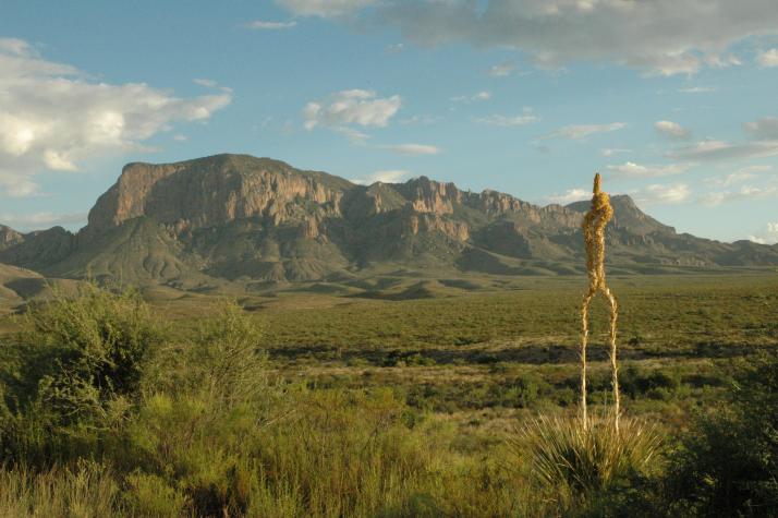 Summer '04 Road Trip - big bend national park, tx