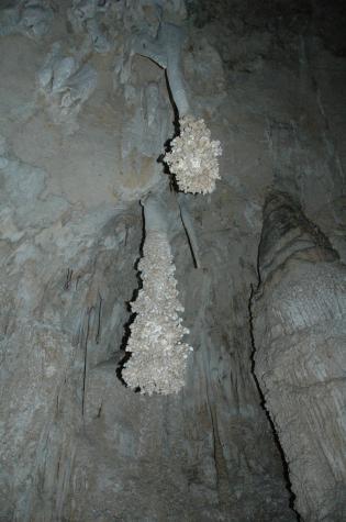 carlsbad caverns, nm