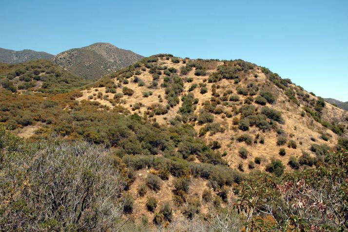 Ojai hills above Thacher - Ojai, CA