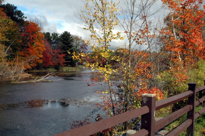 fall color off a bridge - Berkshires, MA
