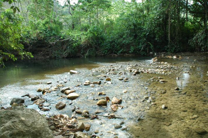 Honeymoon in Belize