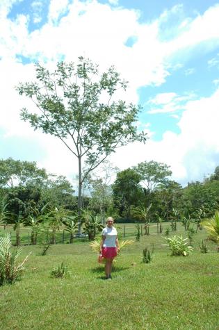 Honeymoon in Belize