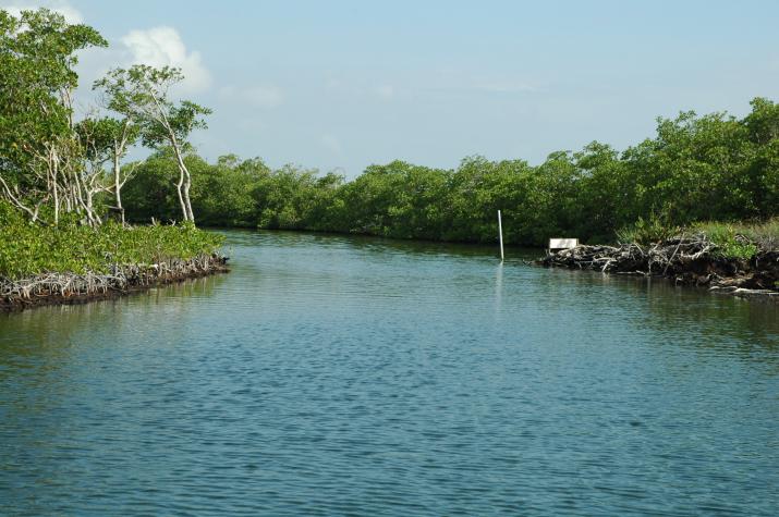 Honeymoon in Belize