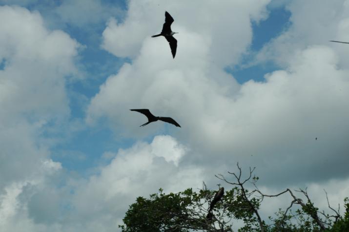 Honeymoon in Belize