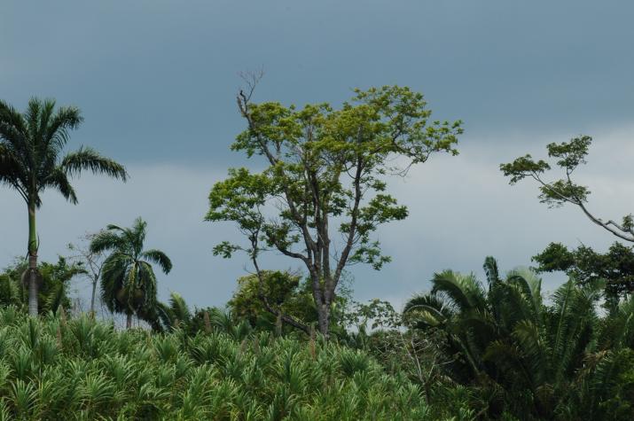 Honeymoon in Belize