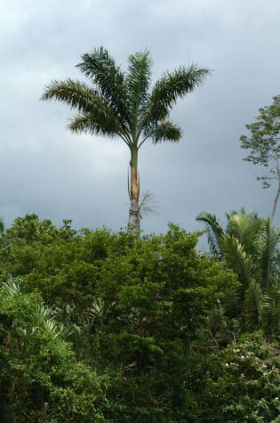 Honeymoon in Belize