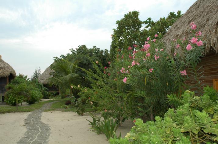 Honeymoon in Belize