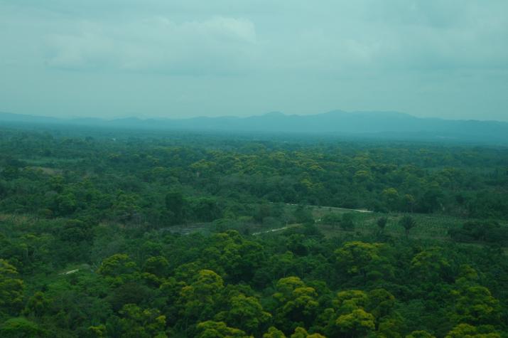 Honeymoon in Belize