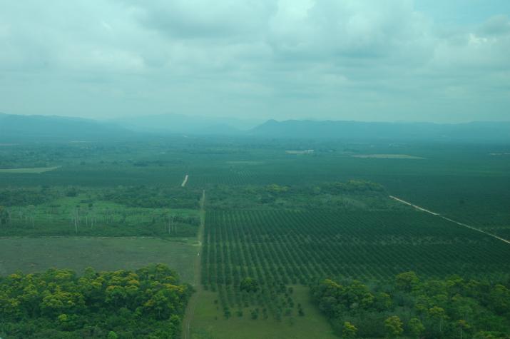 Honeymoon in Belize