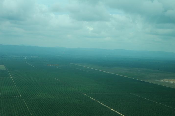 Honeymoon in Belize