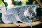September '03 in Australia